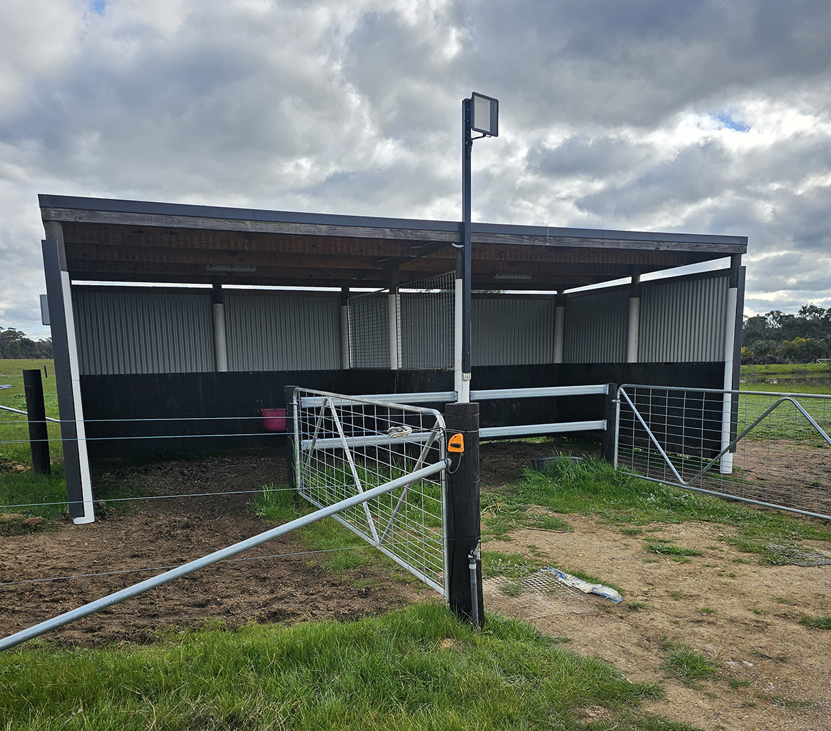 Large Custom Double Horse Shelter